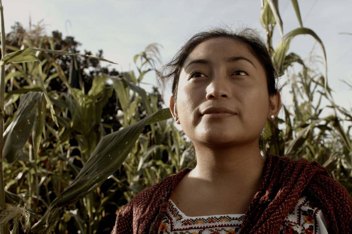 &#8220;El Pib&#8221;: Un homenaje culinario a Yucatán a través de un cortometraje