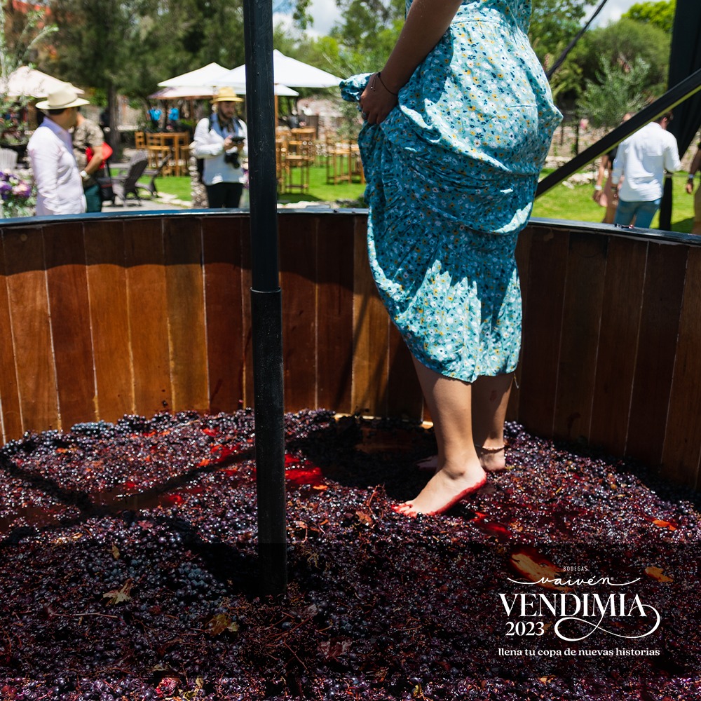 Los 5 viñedos en Querétaro que debes conocer