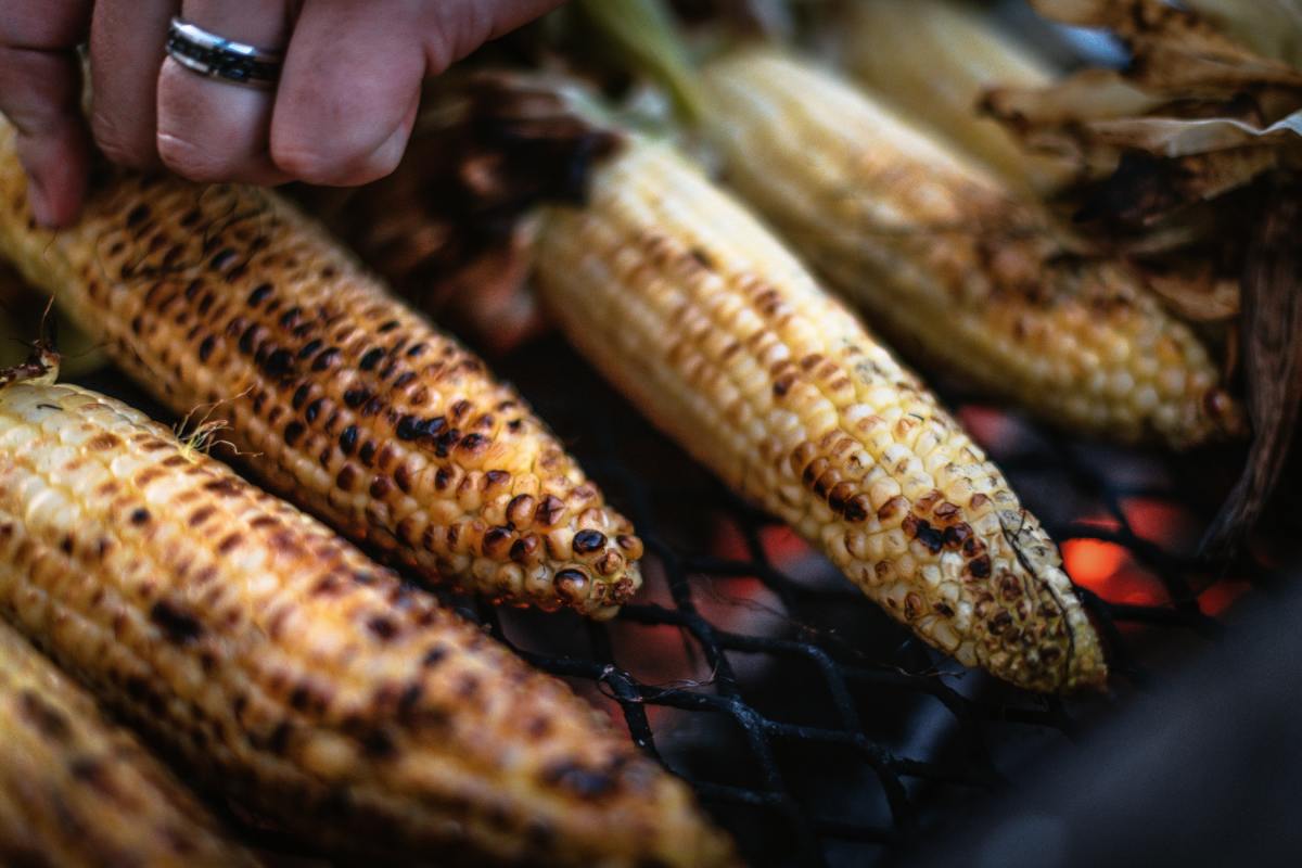 Elote expuesto en la Feria del Elote y la Tortilla en CDMX.