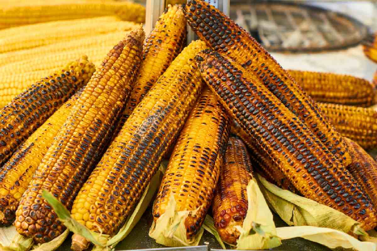 La Fiesta del Elote un excelente plan para este viernes.