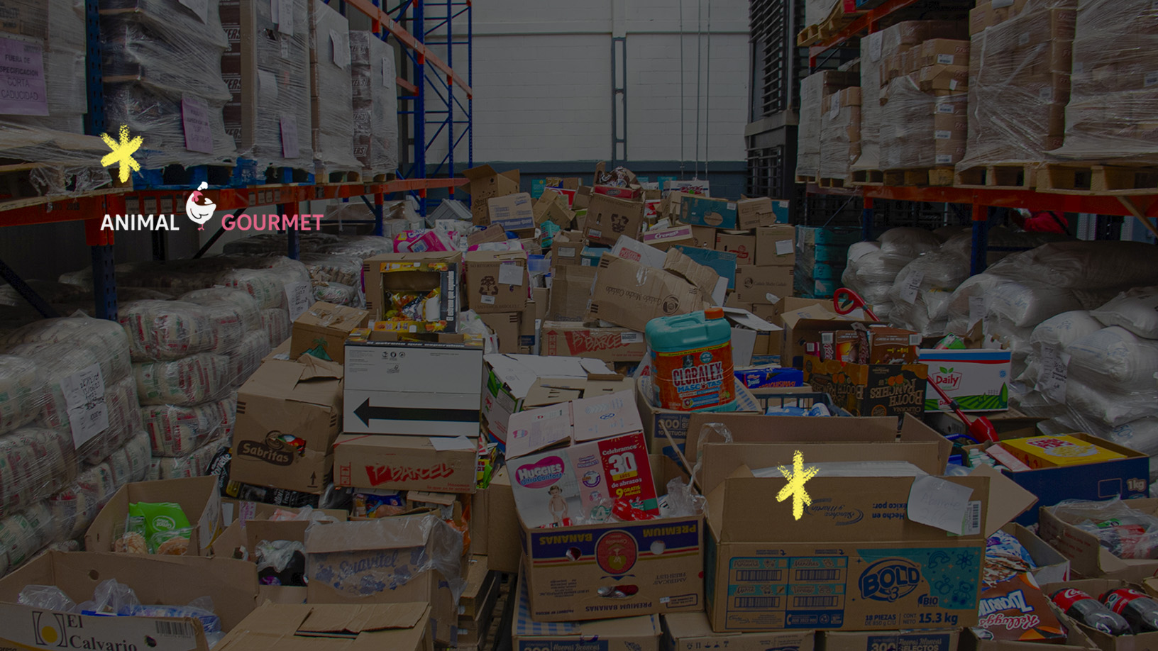 Rescate de alimentos