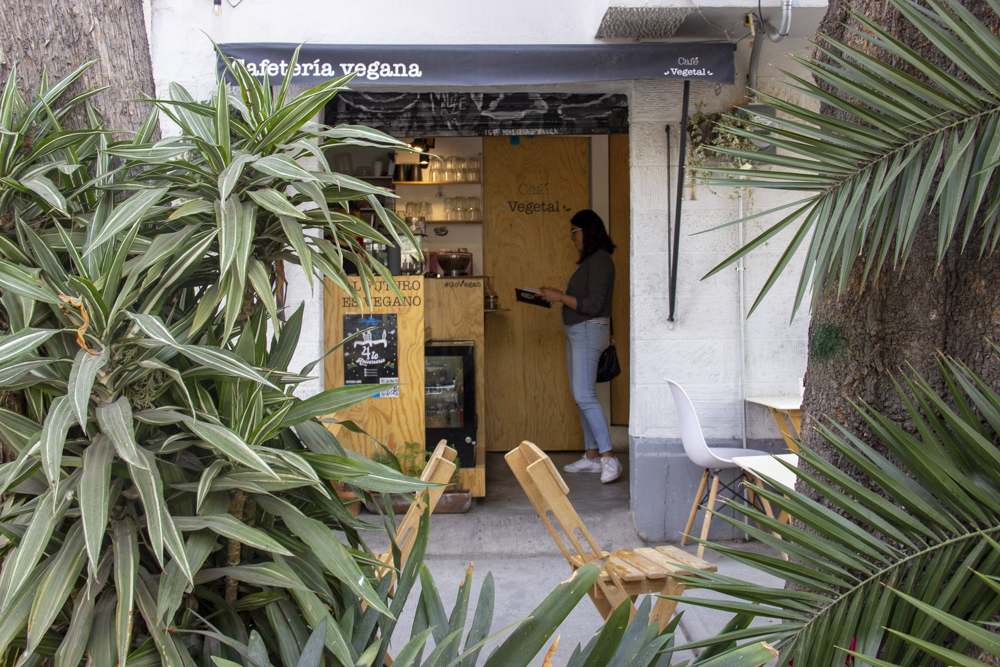 15 cafeterías bonitas en CDMX para pasar un buen rato