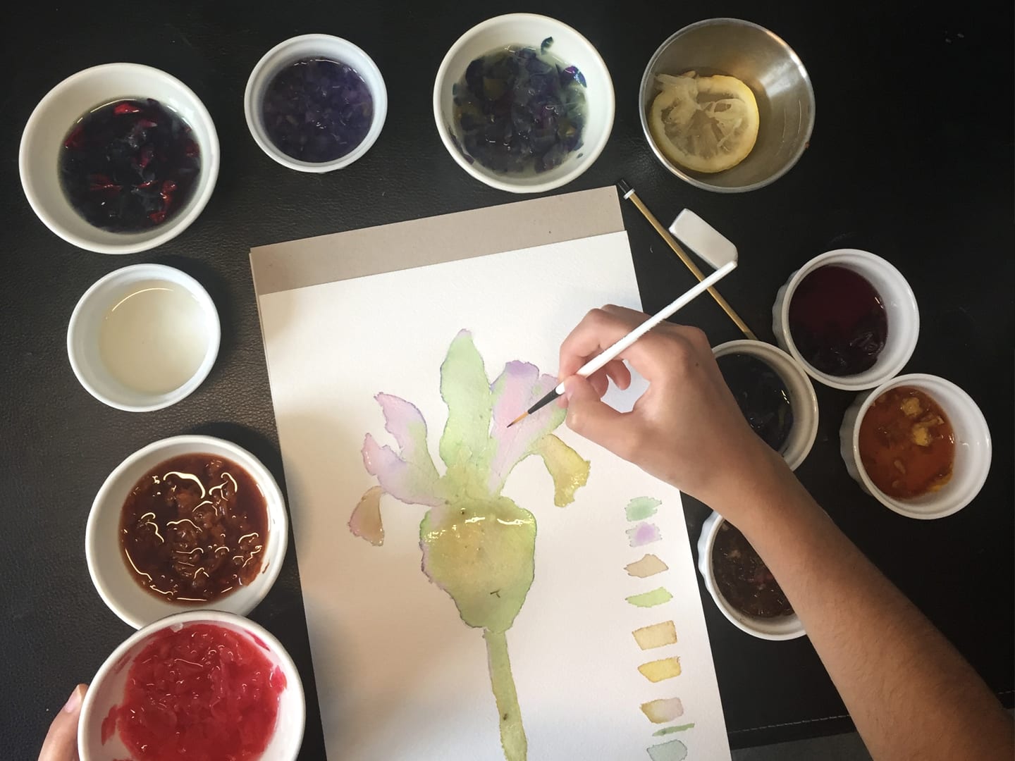 Explora tu lado creativo con estas Acuarelas orgánicas hechas con tinturas vegetales