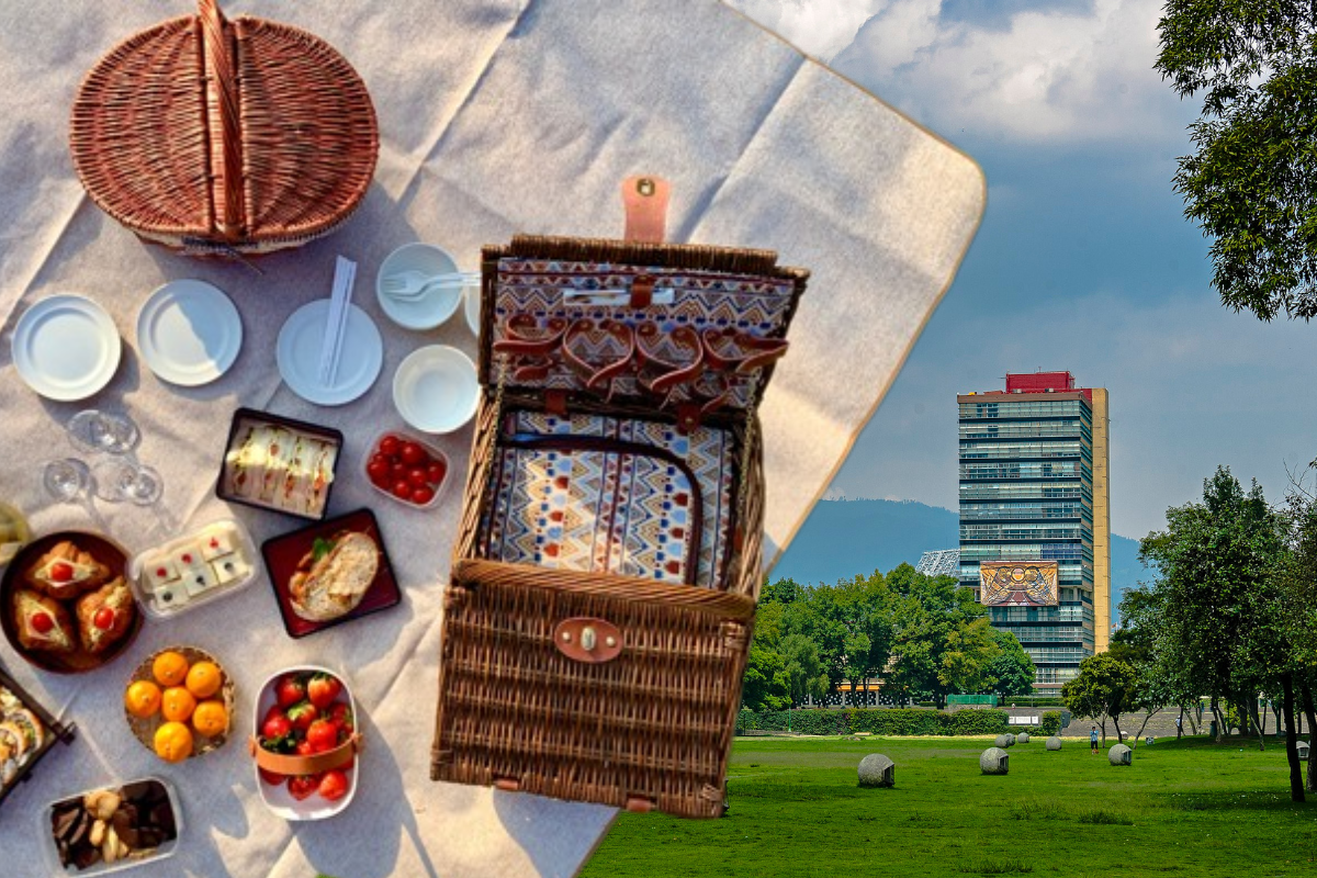 Picnic en CU para ver el eclipse solar