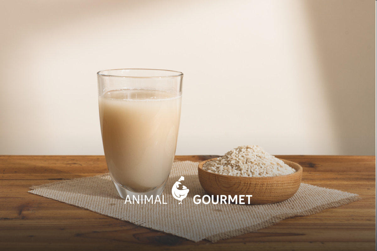 Agua de arroz: un remedio casero para dejar de sufrir por la gastritis (y otros malestares gastrointestinales)