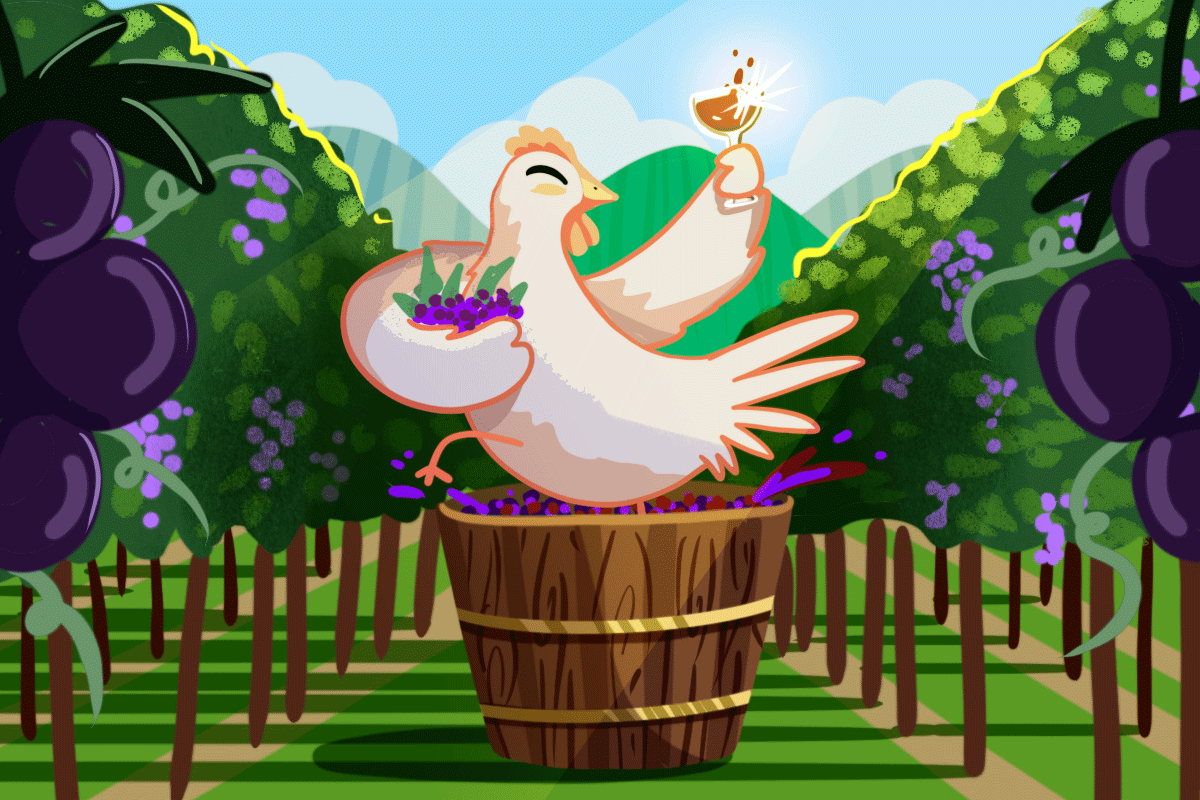 Viñedos en Guanajuato: un viaje enológico por uno de los terruños más antiguos del país