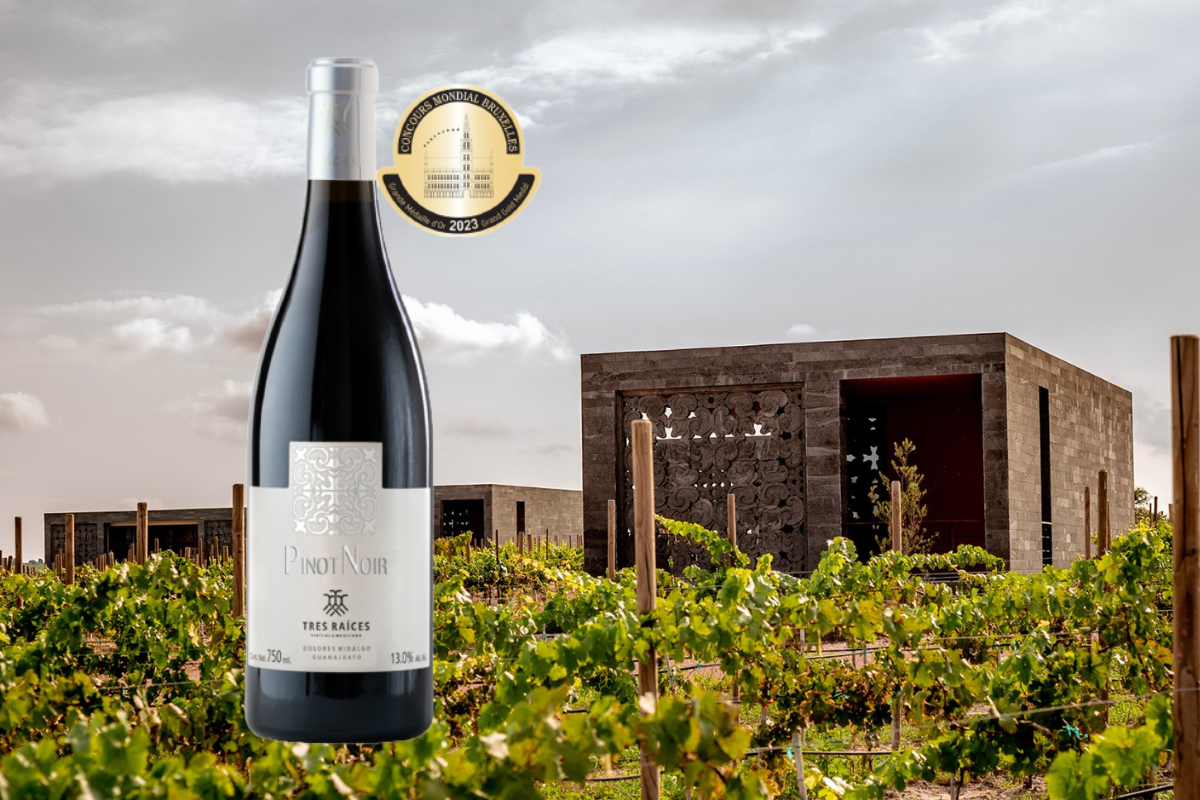 Pinot Noir de Tres Raíces pone en alto los viñedos de Guanajuato con Gran Oro