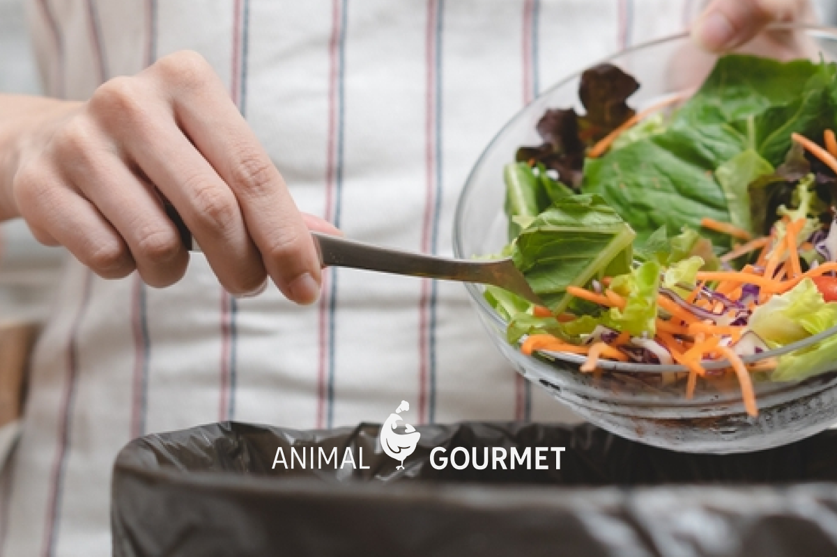 Este es el tiempo máximo que puedes guardar las verduras frescas en el refrigerador