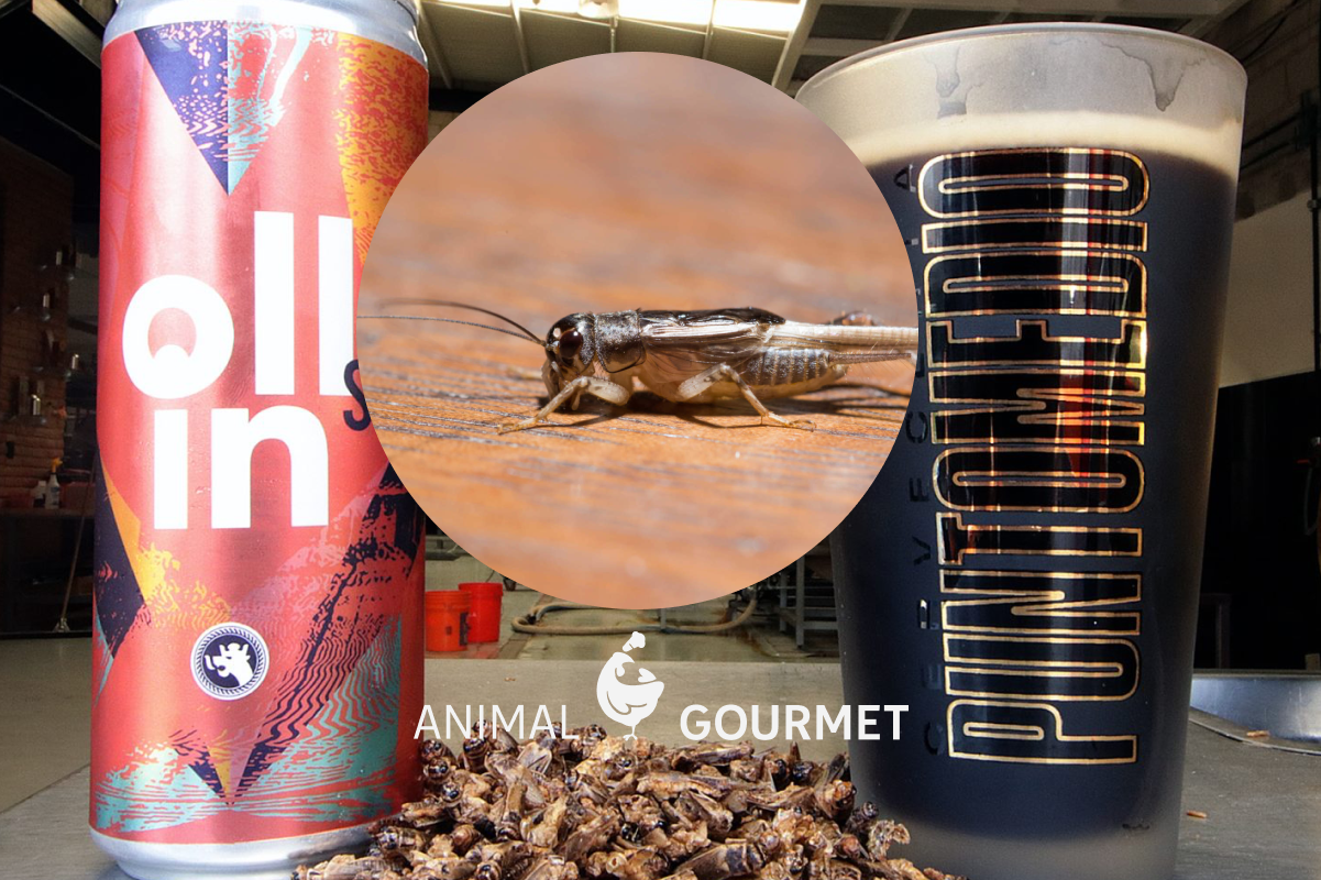 ¡¿Cerveza de grillos?! Aunque no lo creas, esta cervecería en Querétaro la inventó