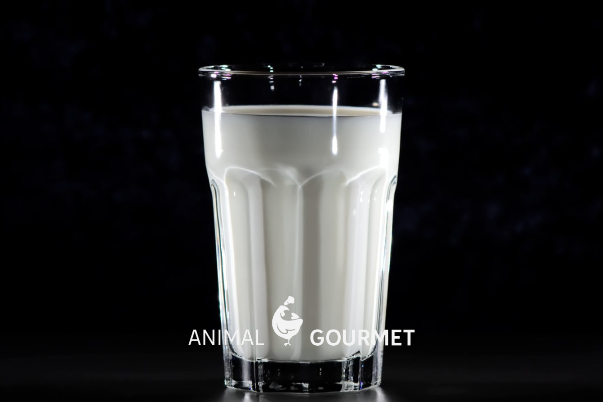 Kumis: la leche de yegua fermentada con un montón de beneficios para la salud