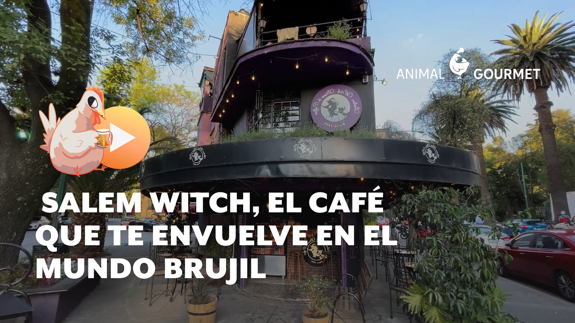 Salem Witch, un café y tienda brujil