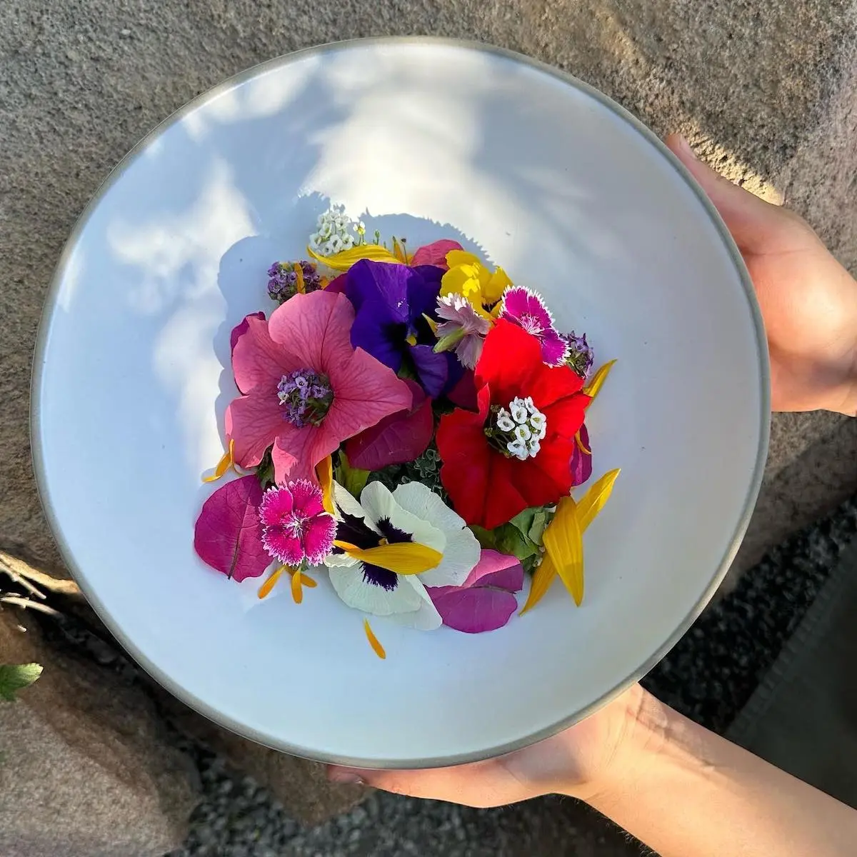 11 restaurantes mexicanos entre los mejores, según Latin America’s 50 Best Restaurants 2023