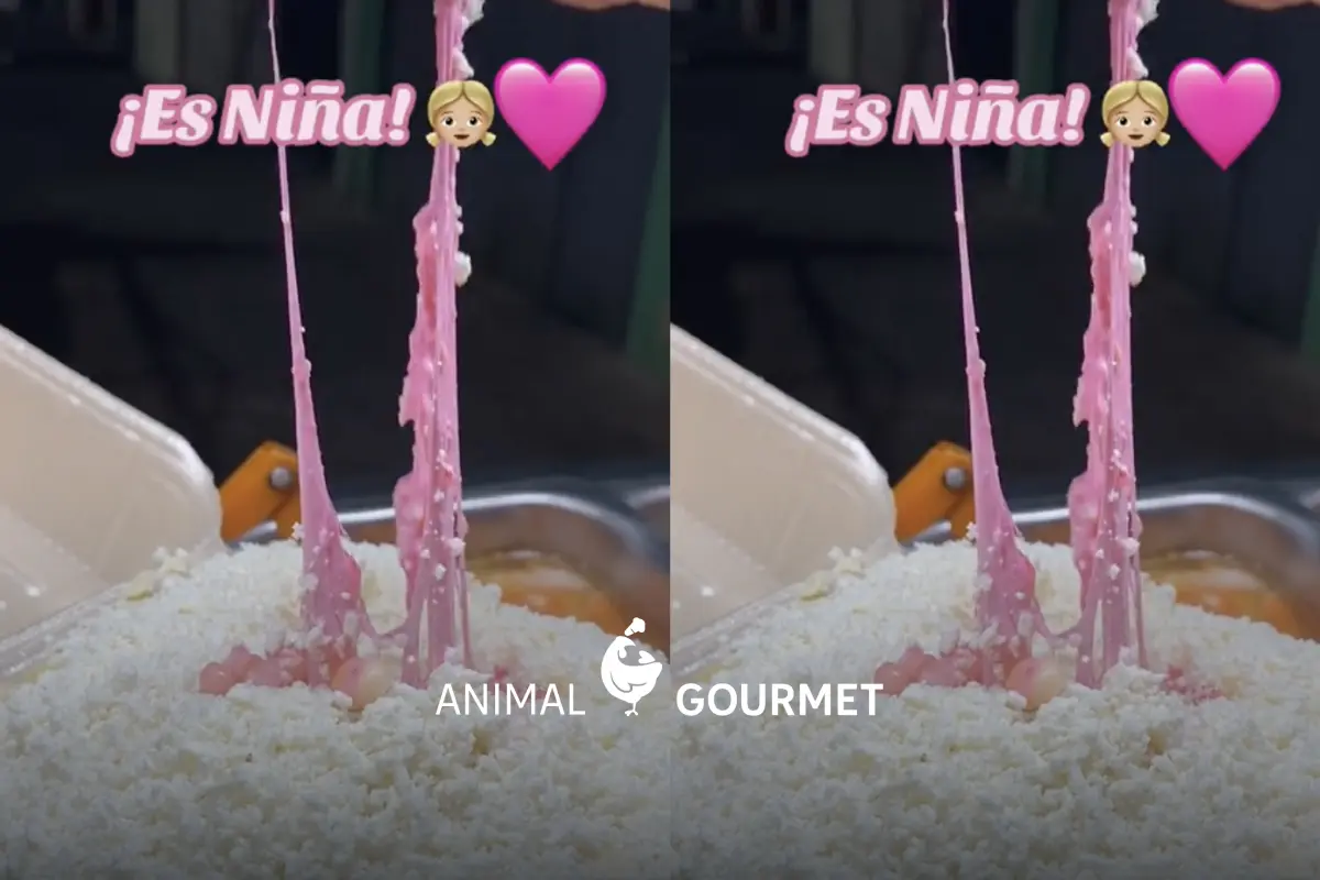 ¿Niño o niña? El elote revelación es la nueva tendencia de las gender reveal
