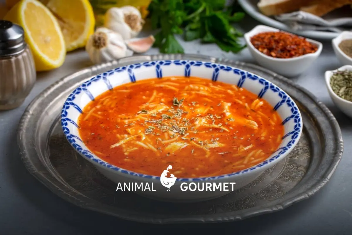 Cómo hacer sopa de fideos: guía experta + 3 recetas para tu menú de invierno