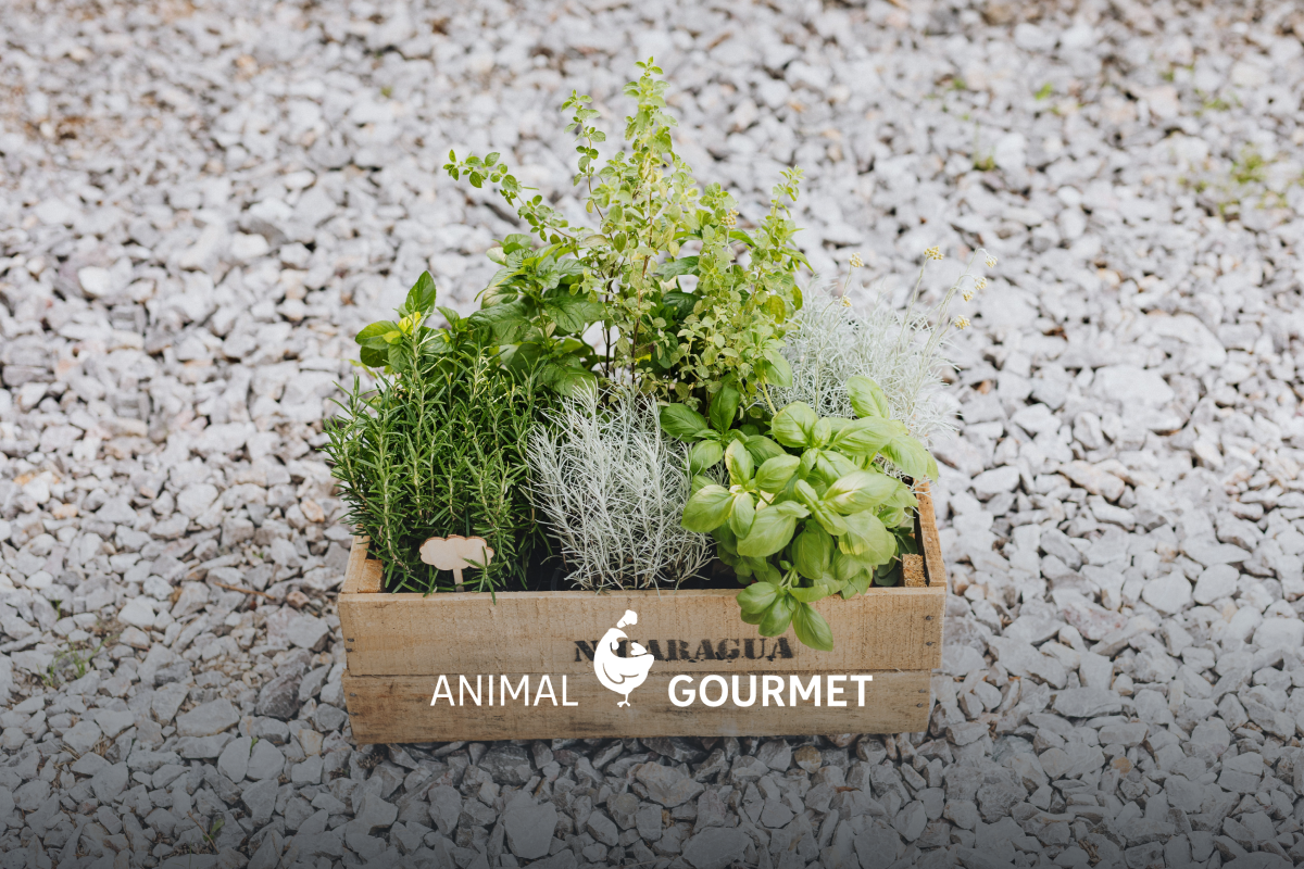 Te digo qué tomar para aliviar el dolor en las articulaciones.