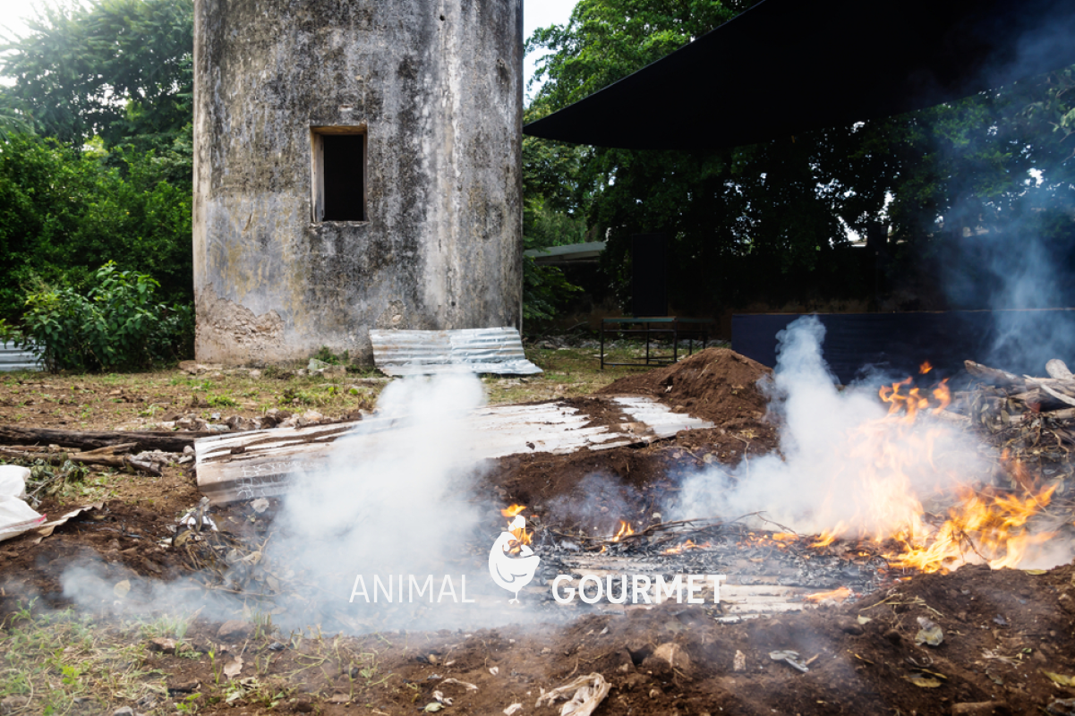 El Pib, un método de cocción icónico del mundo maya en Yucatán