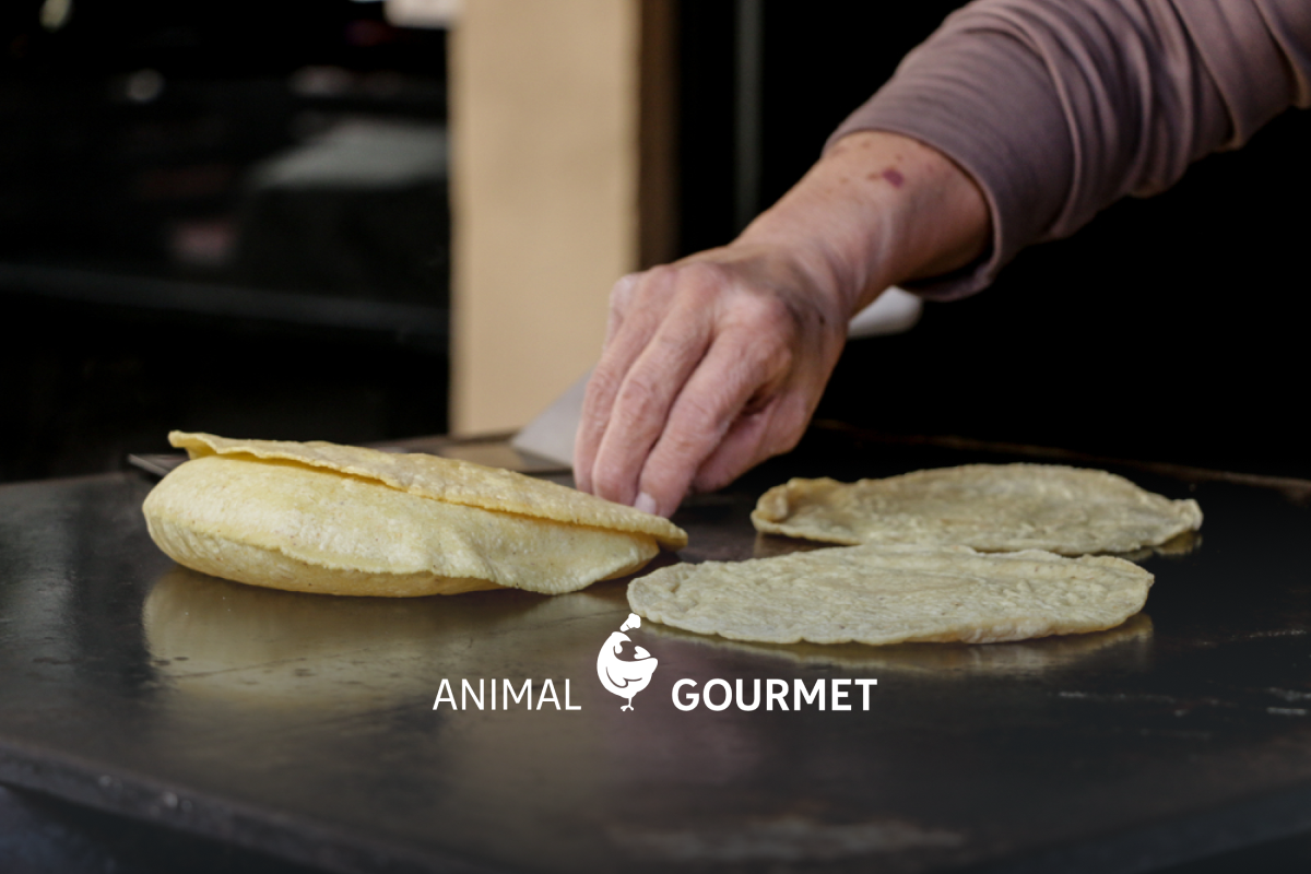 Cómo hacer tortillas de maíz para tacos (te digo qué hacer para que se inflen)