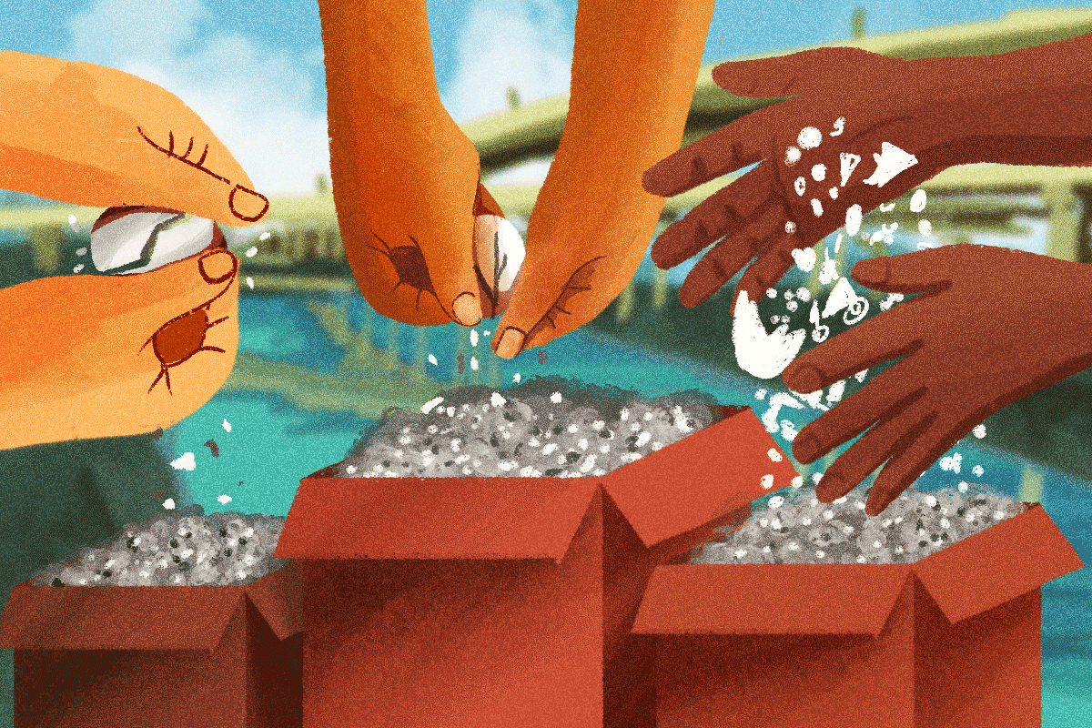 El impacto transformador del cascarón de huevo en la limpieza de aguas