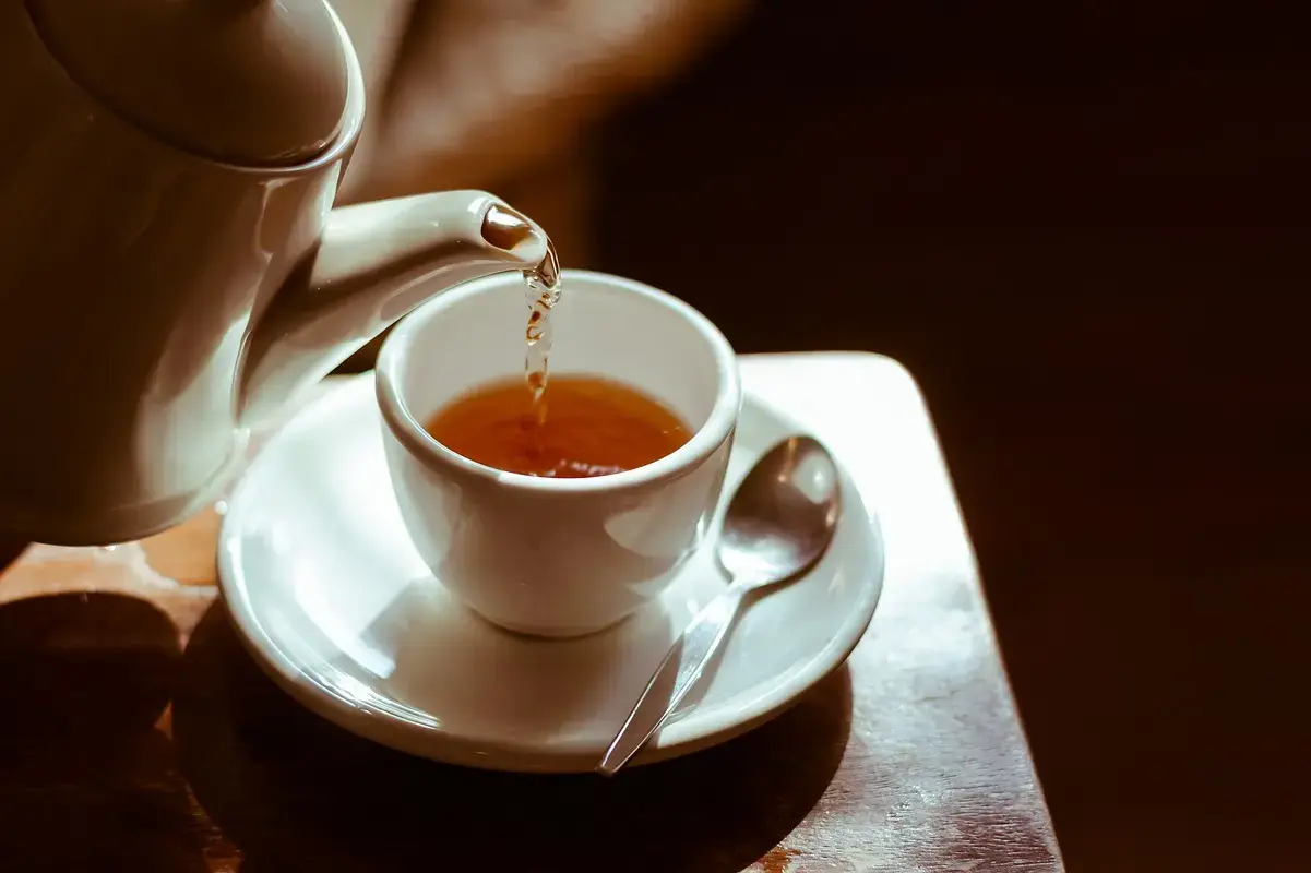 5 infusiones que necesitas en invierno para subir tus defensas