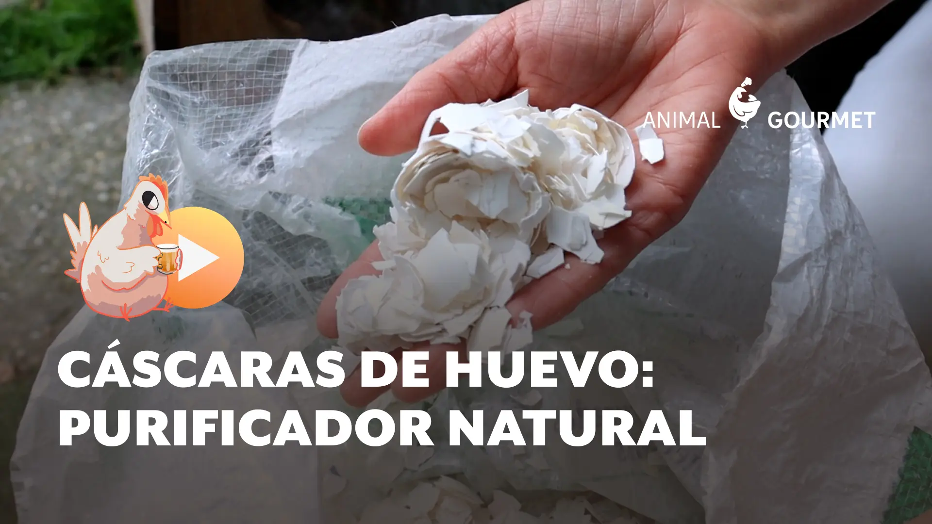 La cascara de huevo podría ayudar a salvar nuestros días