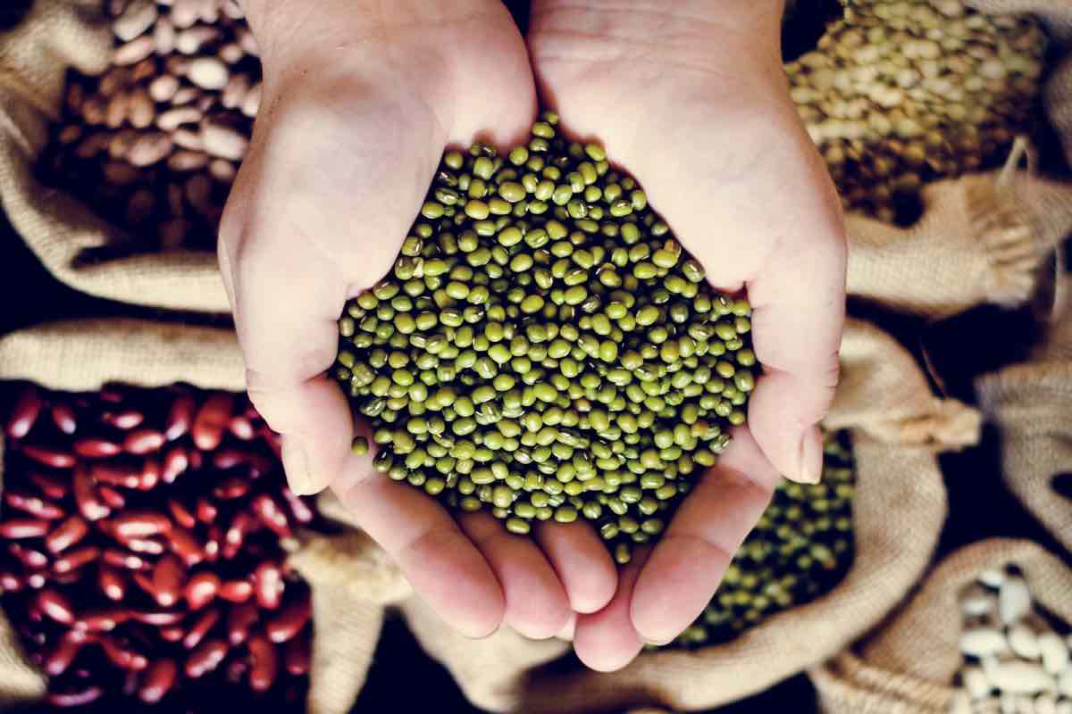 Año Nuevo 2024: ¿Cuáles son los 7 granos de la abundancia?