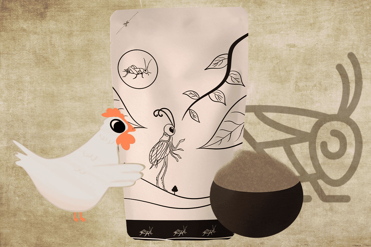 Los insectos comestibles y su impacto en la seguridad alimentaria