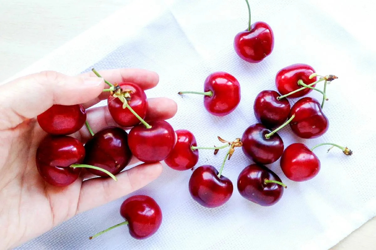 ¿Por qué se regalan cerezas para celebrar el Año Nuevo Chino?