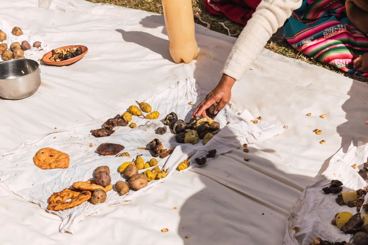 Chuño o tunta: el secreto andino para que una papa dure 20 años