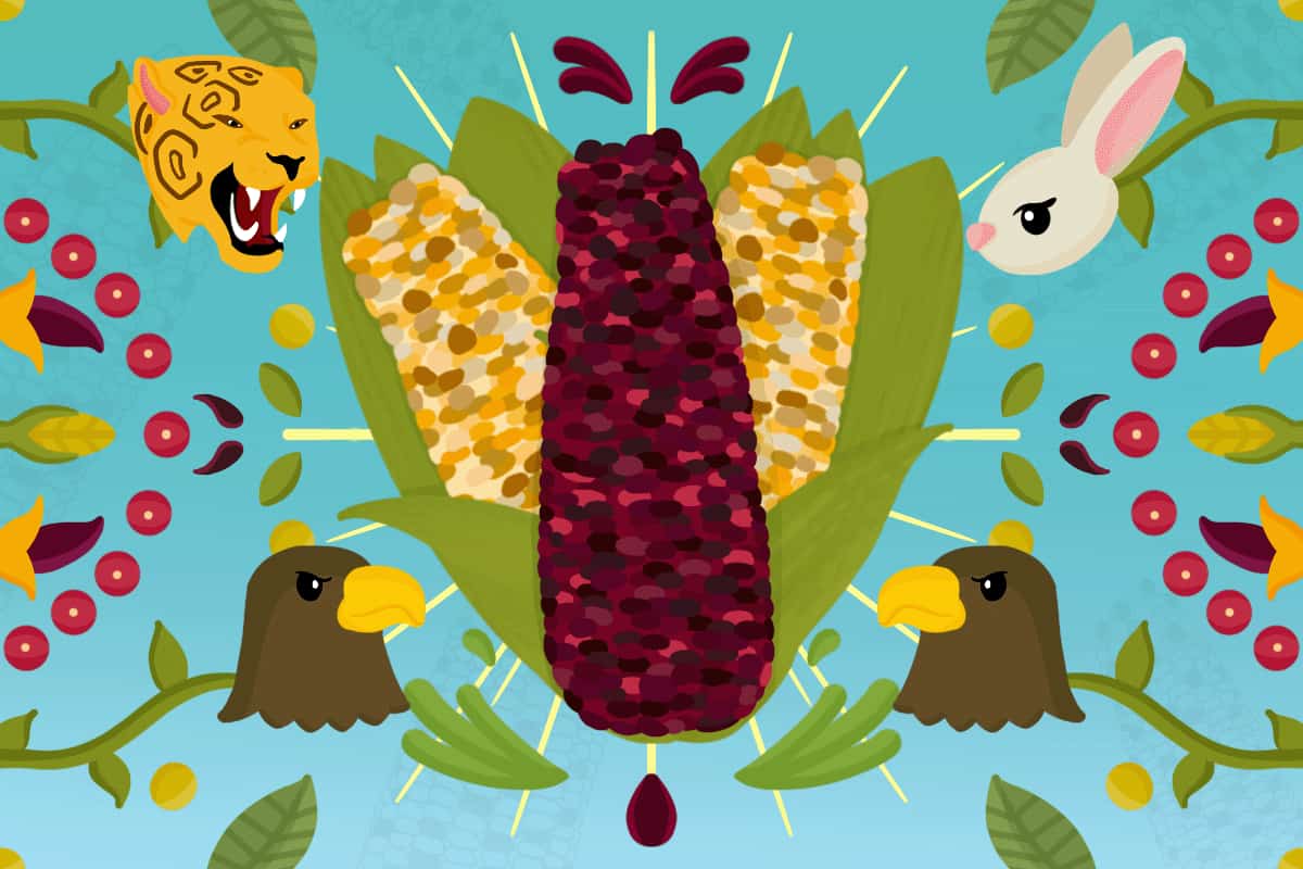 Conservación del maíz nativo de México en la era del cambio climático