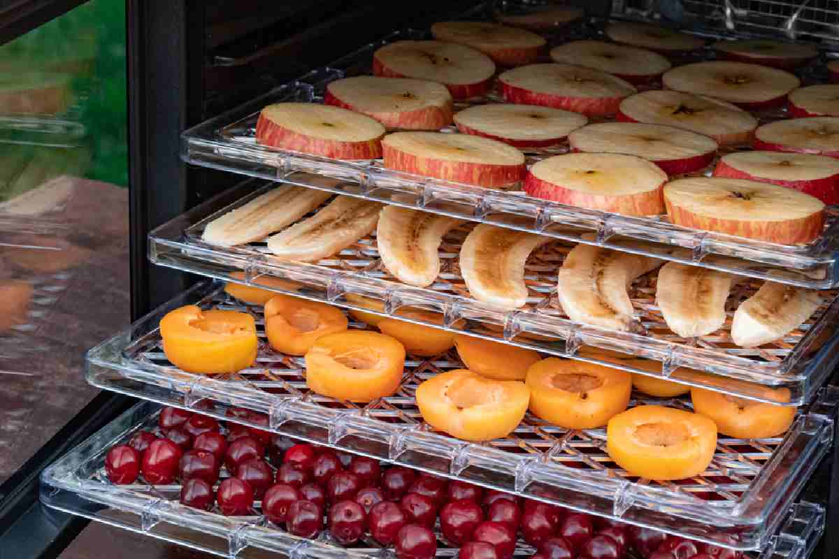 Los deshidratadores de alimentos requieren fuentes de calor como la energía solar o la energía eléctrica.