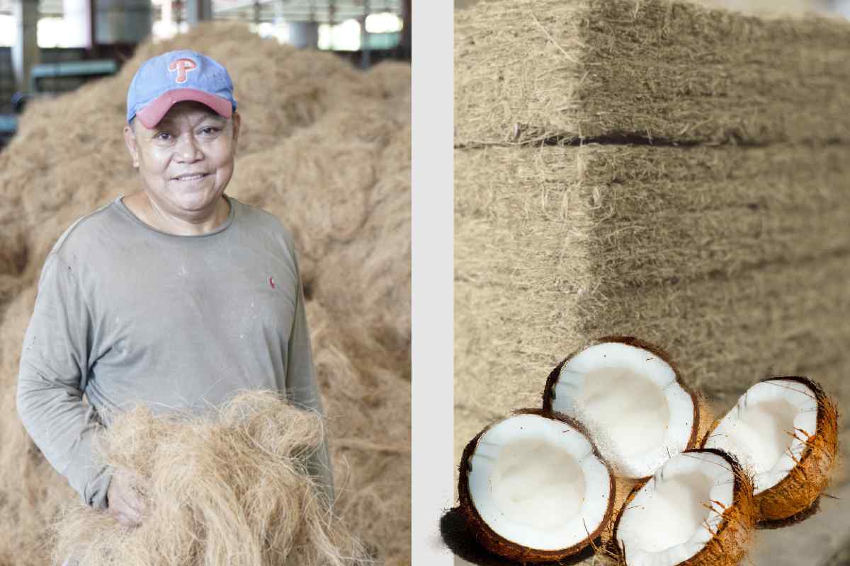 Fabrican hieleras con cáscaras de coco para generar menos contaminación