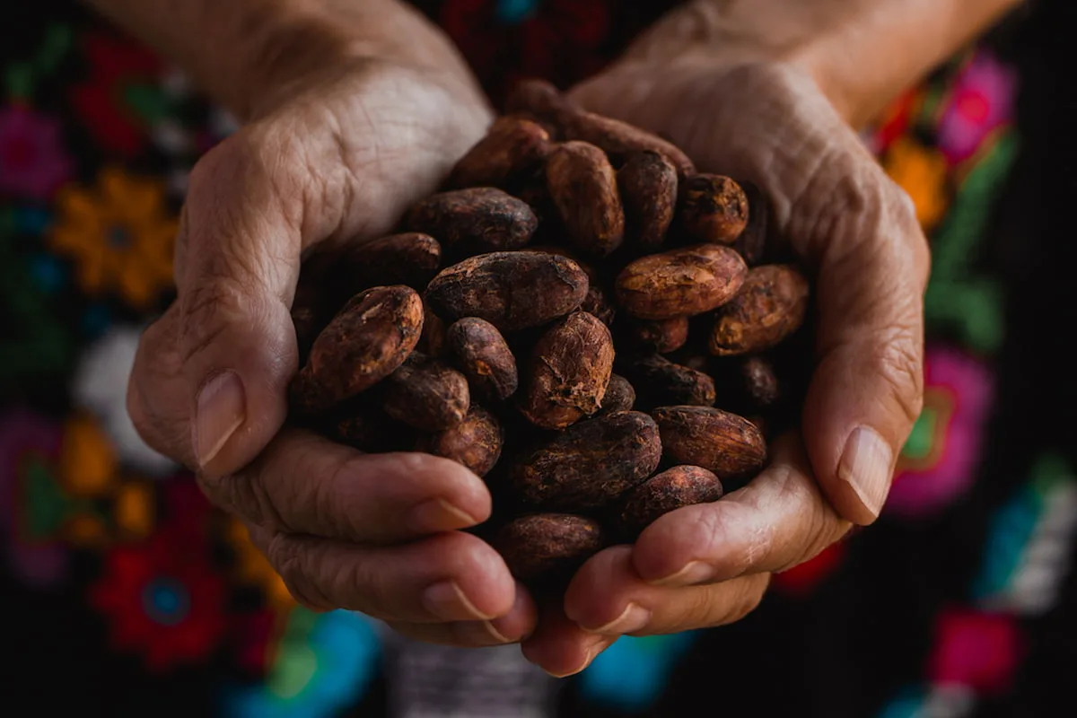 Nueve palabras en náhuatl que seguimos utilizando todos los días en la cocina