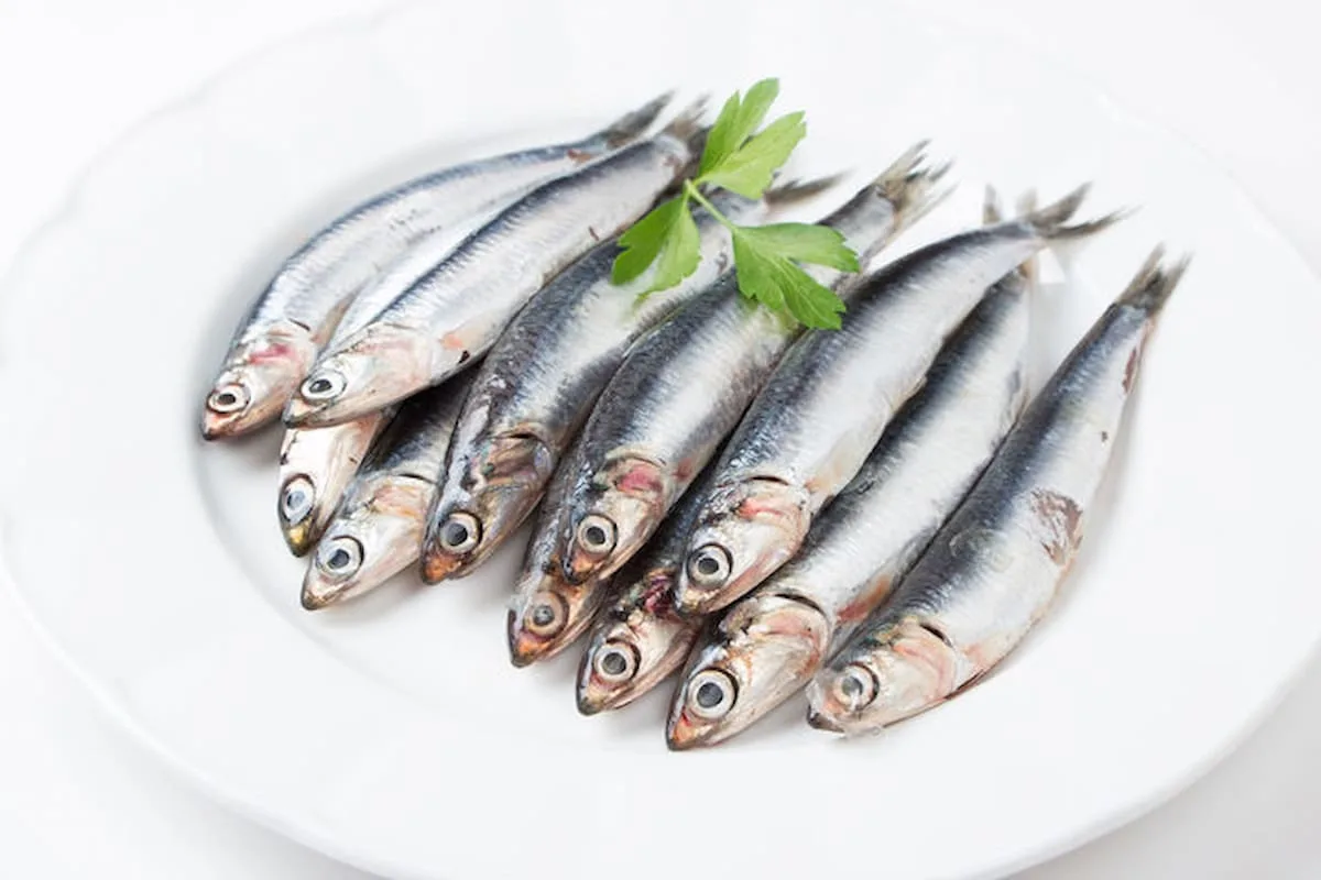 Anchoas: sabores de la dieta mediterránea para cuidar tu salud