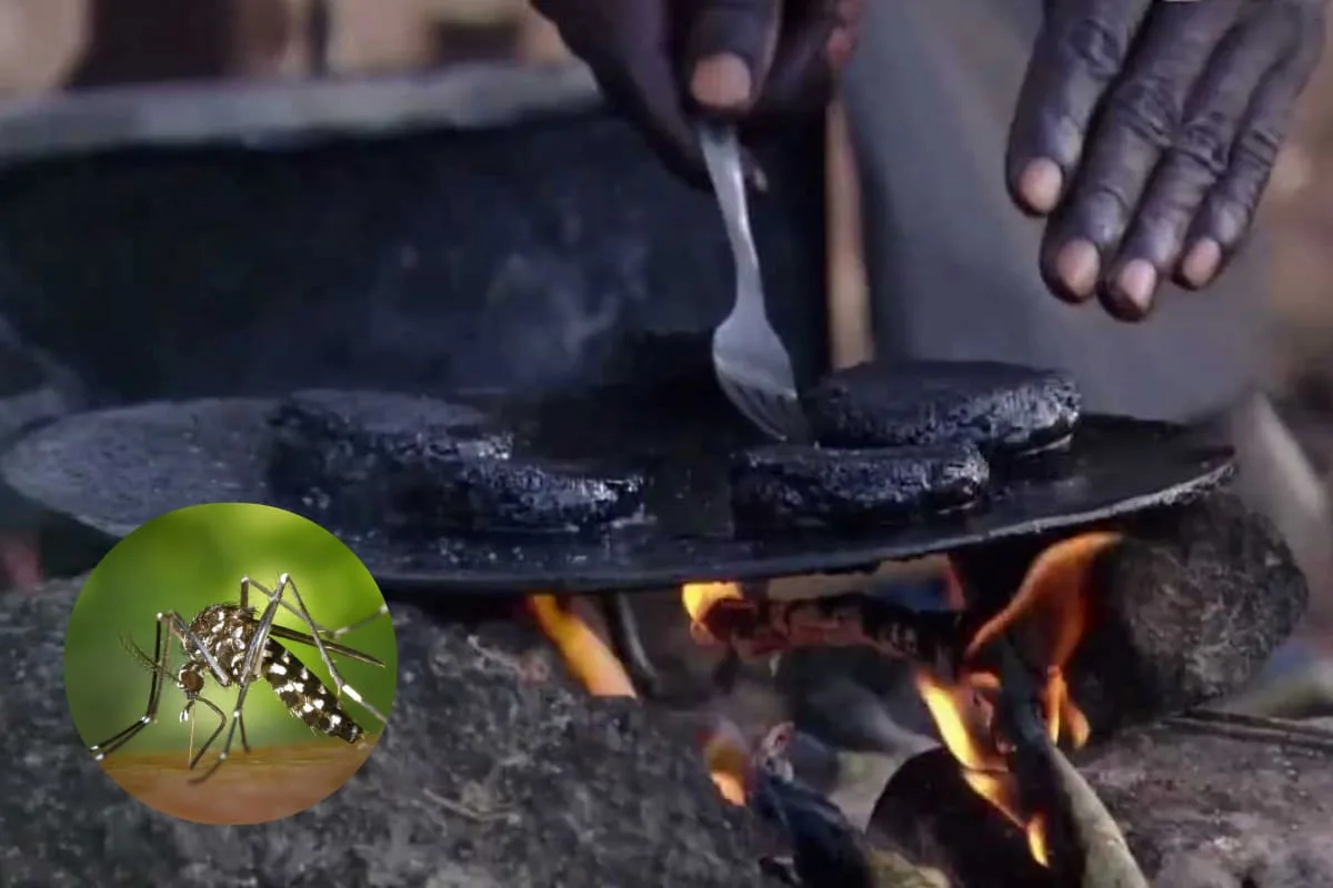 La hamburguesa de mosquitos llamada Kunga, que comen en África para sobrevivir y controlar plagas