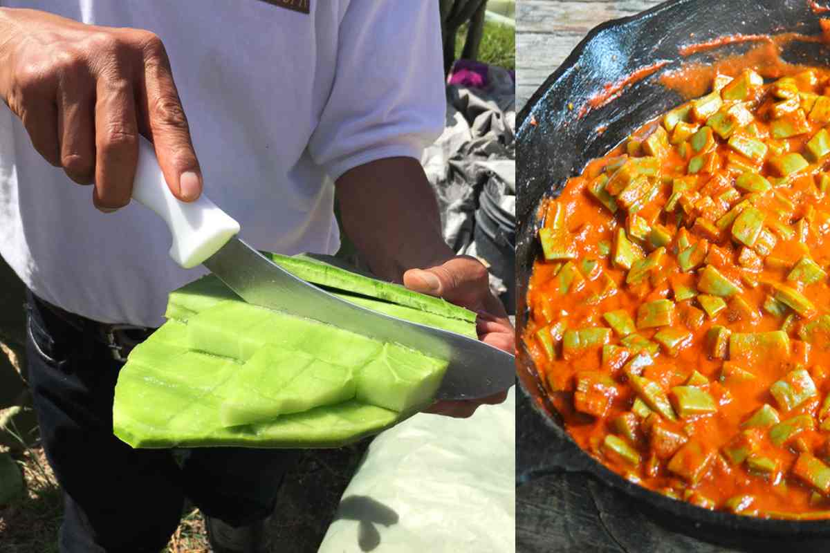 Cómo preparar el corazón de nopal guisado en salsa de guajillo (listo para taquear)