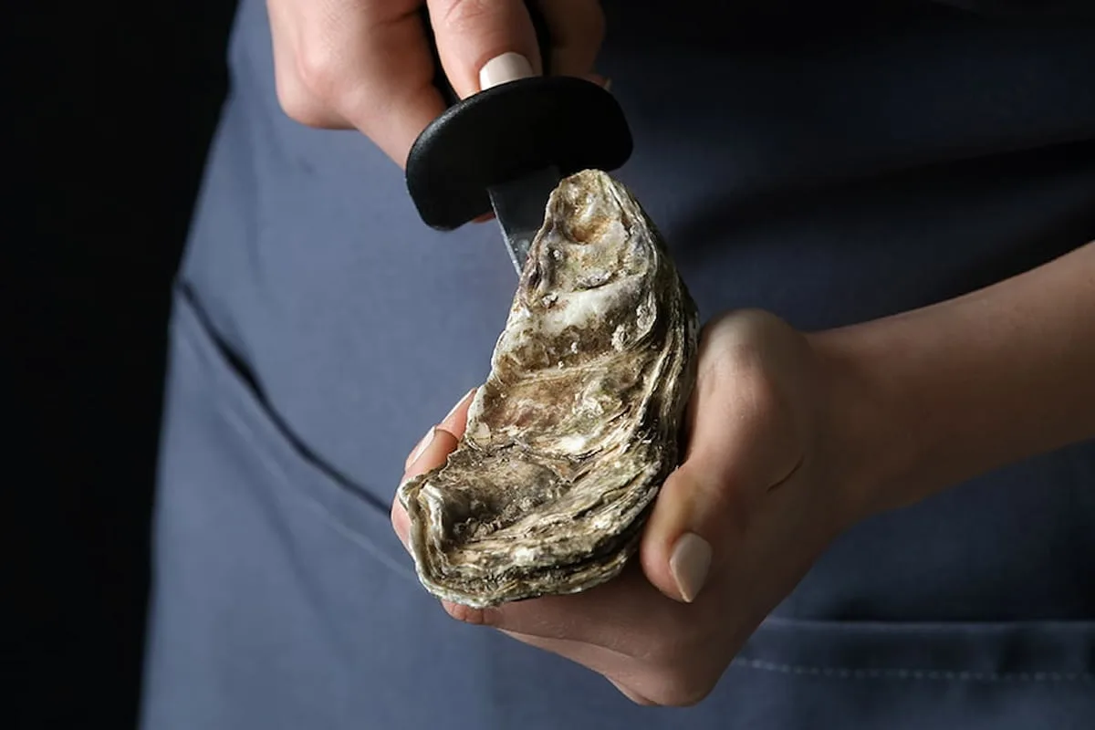 Consejos expertos para limpiar y abrir mariscos, compruébalo con esta receta