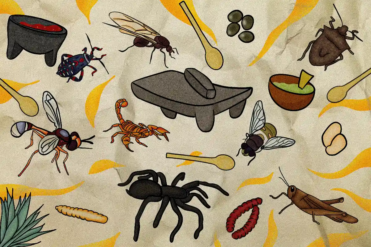 Consumo de insectos: explorando la entomofagia como un superalimento del futuro