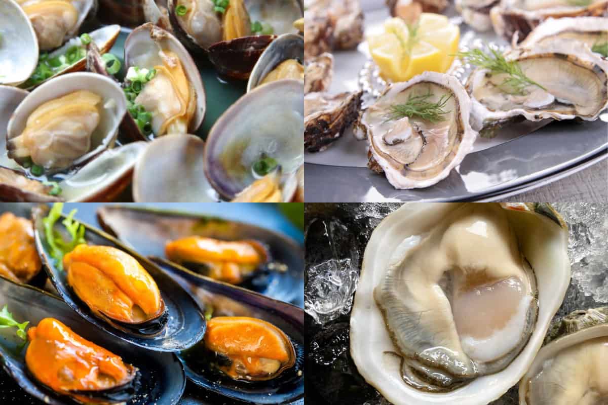 Guía del buen marisco: aprende a diferenciar entre ostiones, ostras, almejas y mejillones