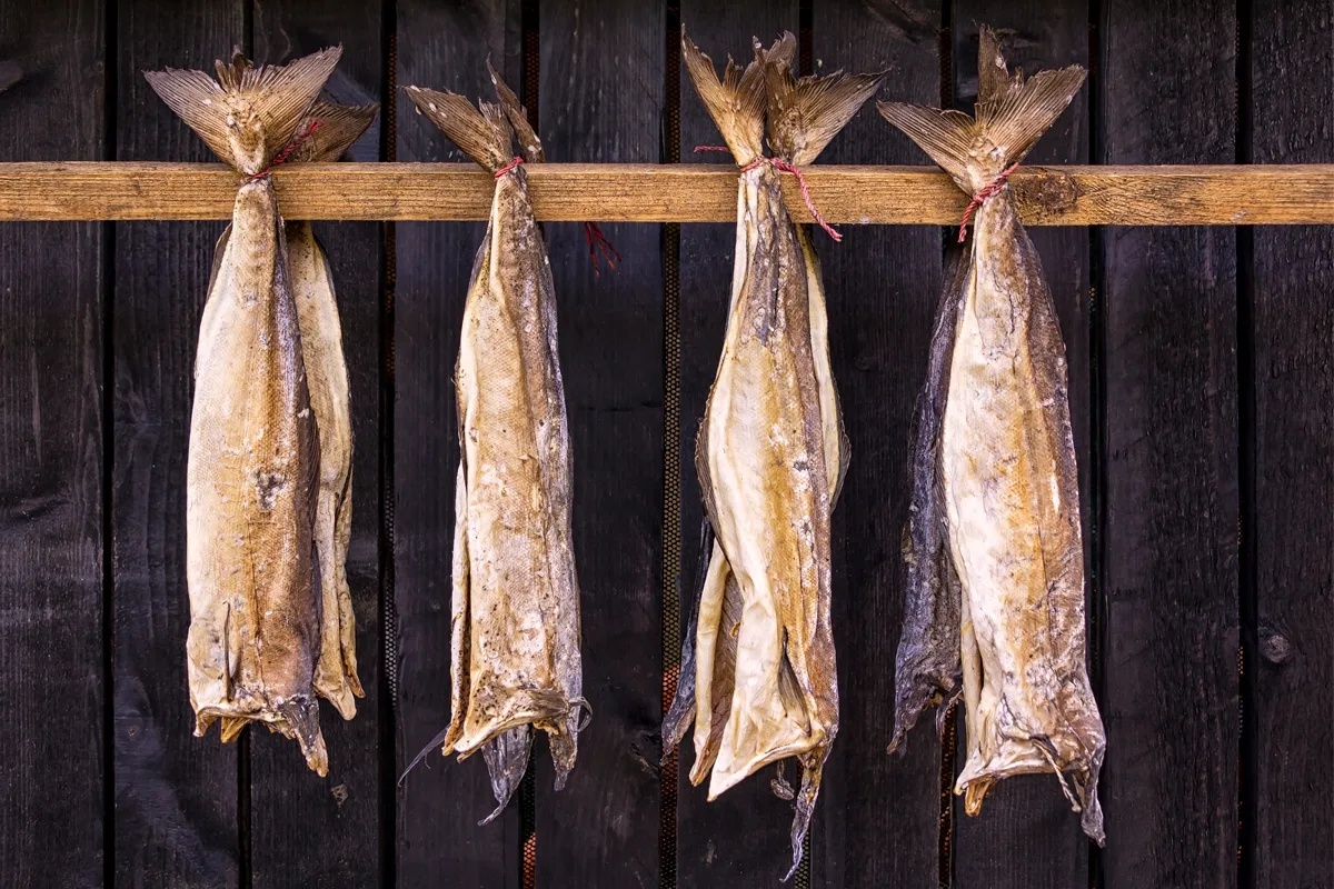 Bajo el cielo ártico: un viaje por la gastronomía de Noruega