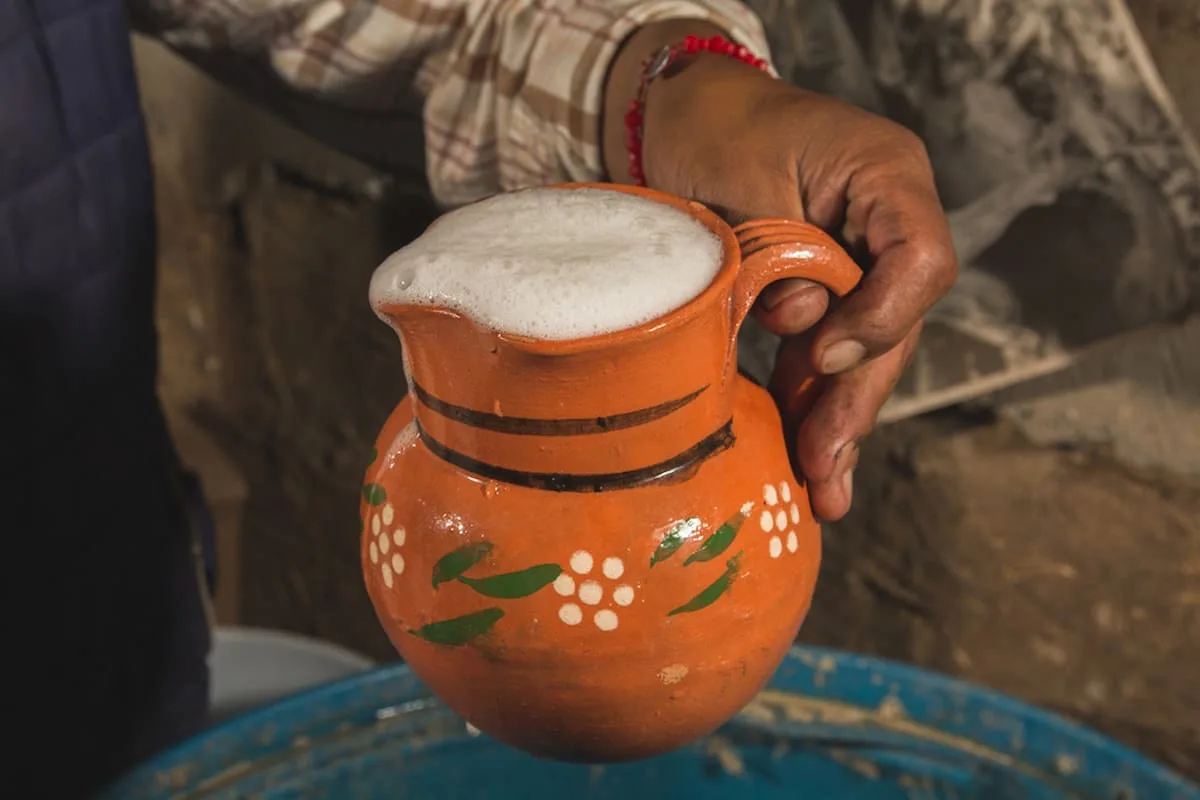 Ve a la Feria del Pulque 2024 en donde podrás degustar más de 200 sabores