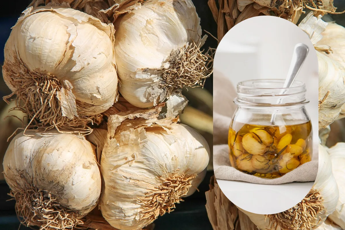 Receta para matar a un vampiro, sencilla y con grandes beneficios a la salud