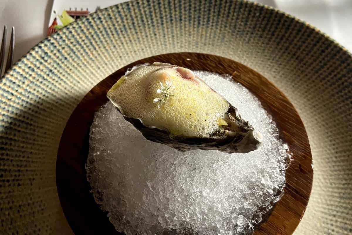 Segunda edición del Festival Endémico y el impulso a los ingredientes locales