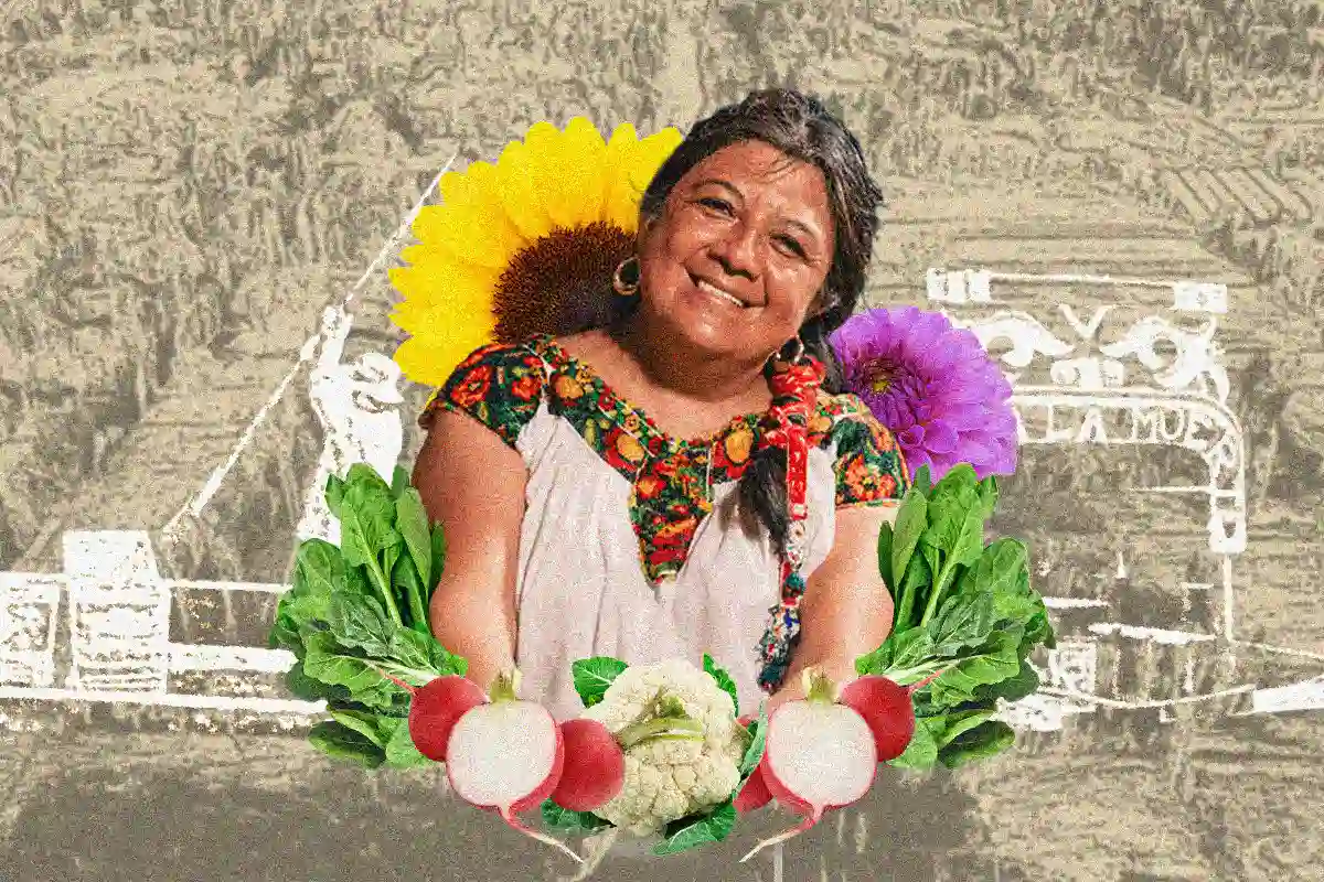 La Escuela Chinampera busca regresar los alimentos a la mesa de los mexicanos