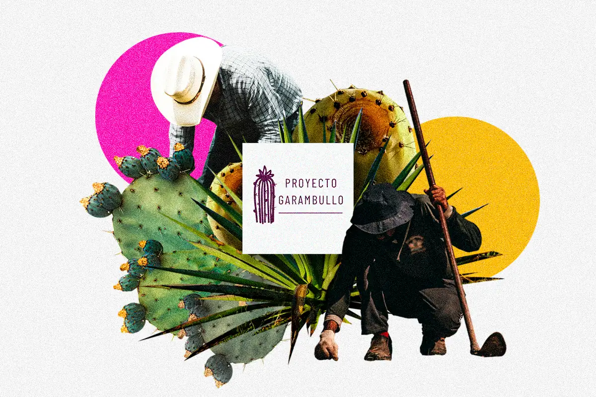 Proyecto Garambullo cocina colectiva