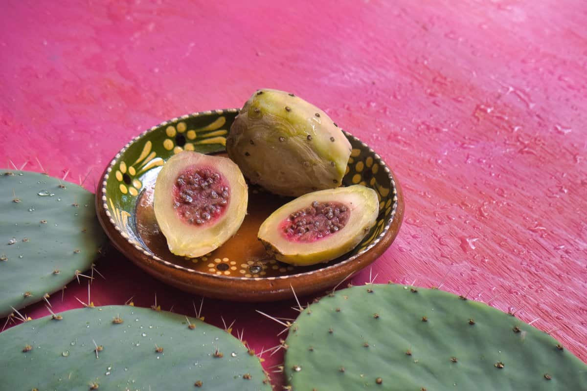 ¿Has Probado el Xoconostle? Descubre el Poder Ácido de este Fruto Mexicano