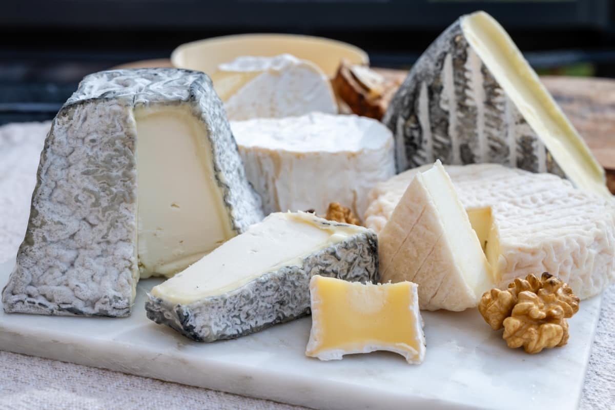 ¿Eres amante del queso? Y te has preguntado cuál fue el primer queso que existió en el mundo aquí te lo decimos