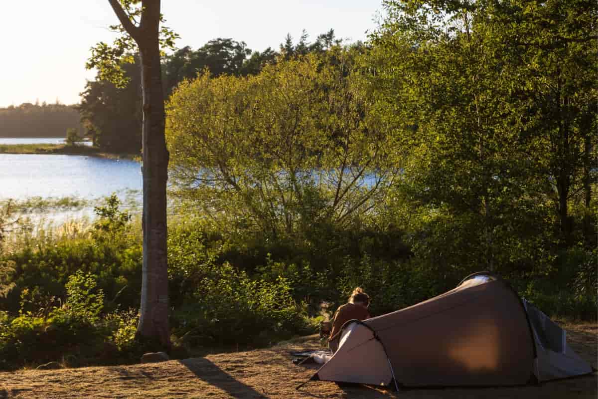 Ideas de comidas y snacks para acampar.