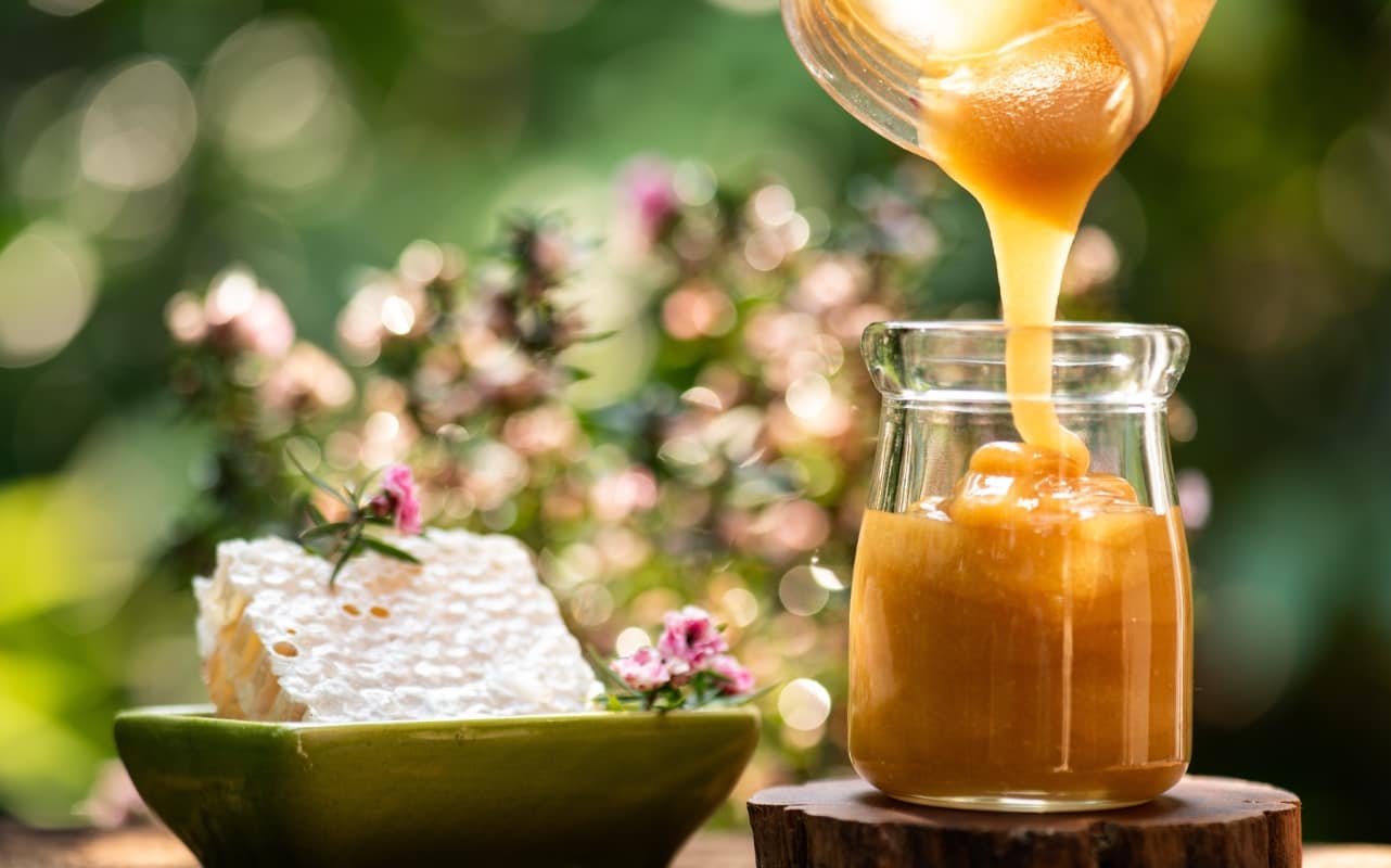 Miel de Abeja vs. Miel de Agave: Cuáles son las Diferencias entre cada una