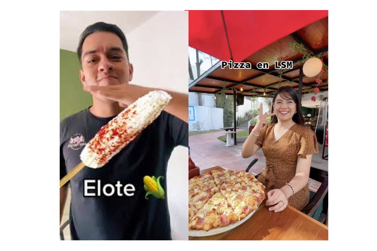 Proyectos con lengua de señas