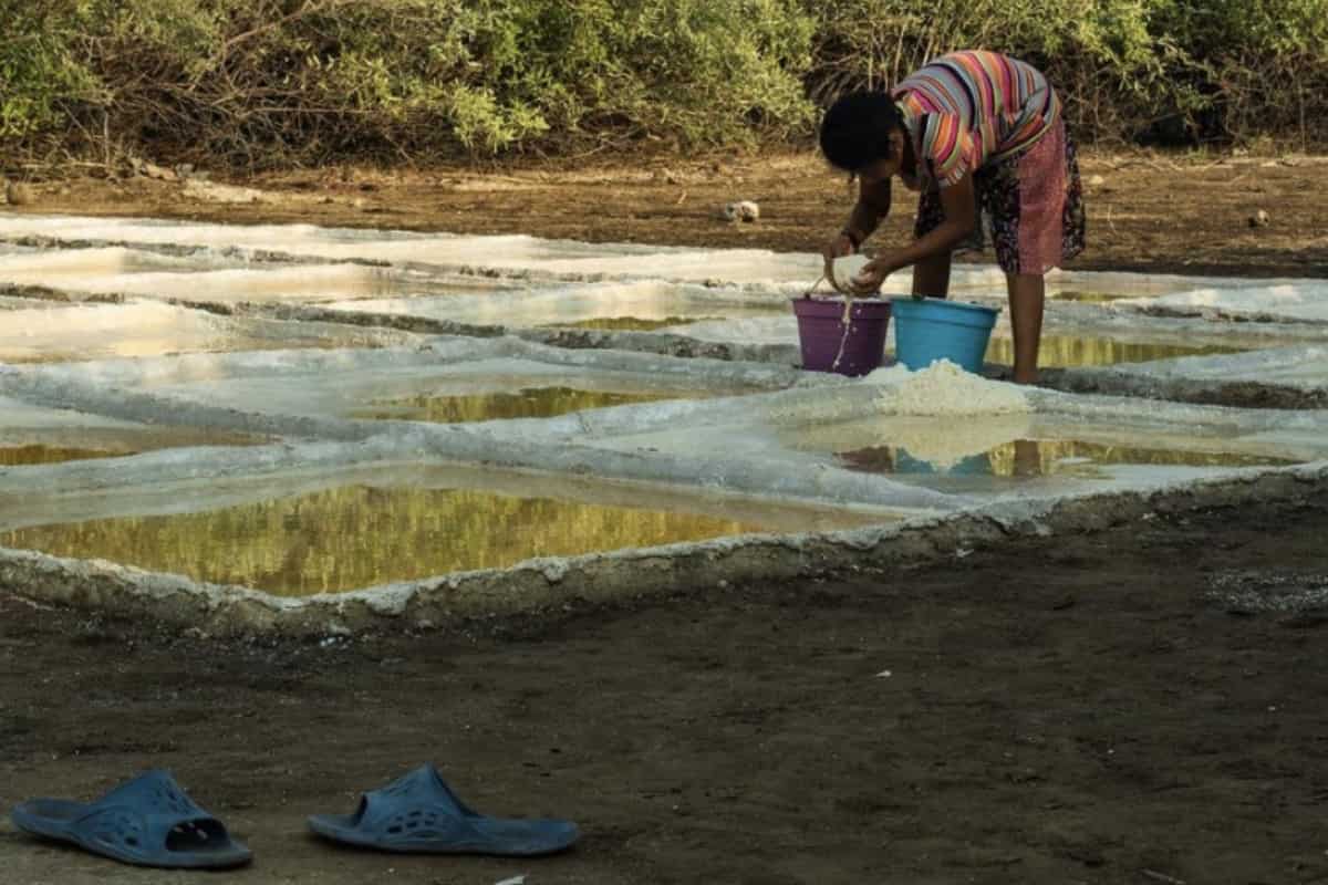 La última familia que queda en elaborar la sal de Chautengo, una joya poco conocida, pero apreciada por los amantes de la gastronomía
